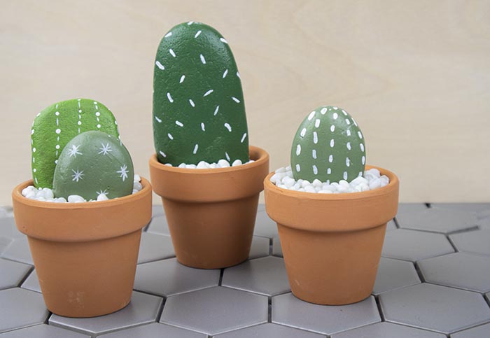 Diy Rock Cactus Garden Craft Project Tutorial - livespo